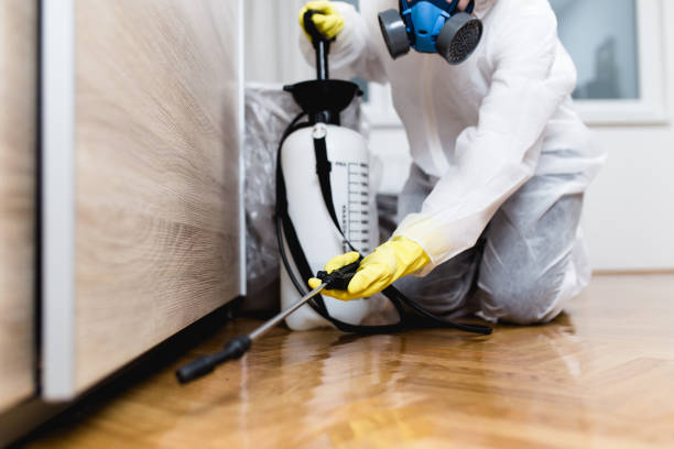 Best Commercial Pest Control Services  in Mountain View Ranches, AZ