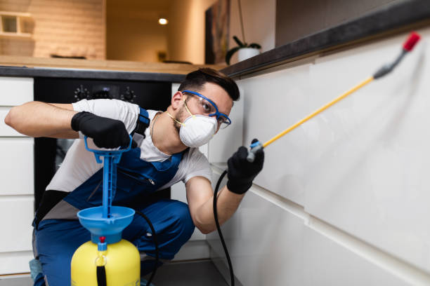 Best Mosquito Control Services  in Mountain View Ranches, AZ