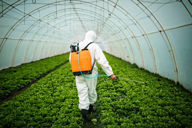 Best Best Pest Control Companies  in Mountain View Ranches, AZ