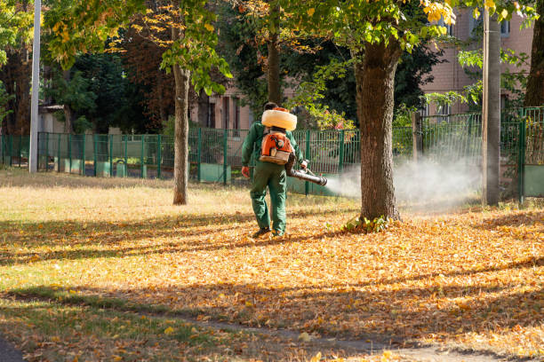 Best Pest Prevention Services  in Mountain View Ranches, AZ